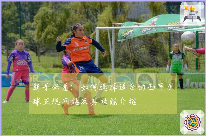 新手必看：如何选择适合的西甲买球正规网站及其功能介绍